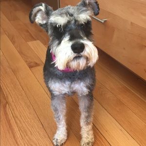 Meet your Posher, Melissa